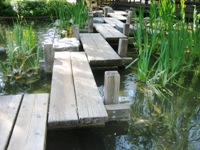 Japanese Friendship Garden San Jose 4.JPG
